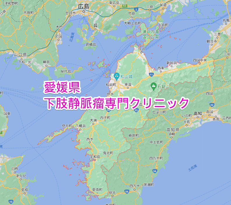 愛媛県 下肢静脈瘤専門クリニック