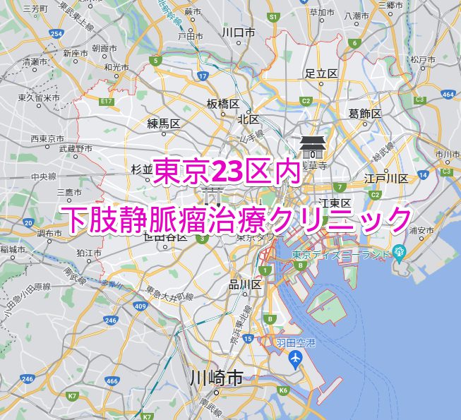 東京23区　下肢静脈瘤治療専門病院