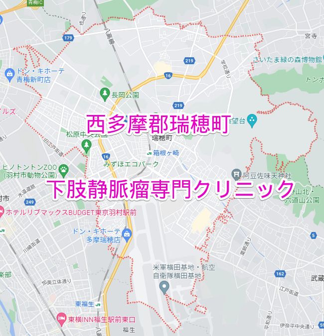 東京都瑞穂町の下肢静脈瘤専門クリニック