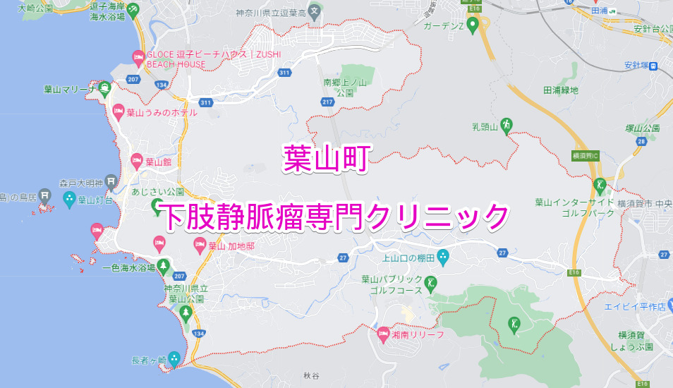 神奈川県葉山町の下肢静脈瘤専門クリニック