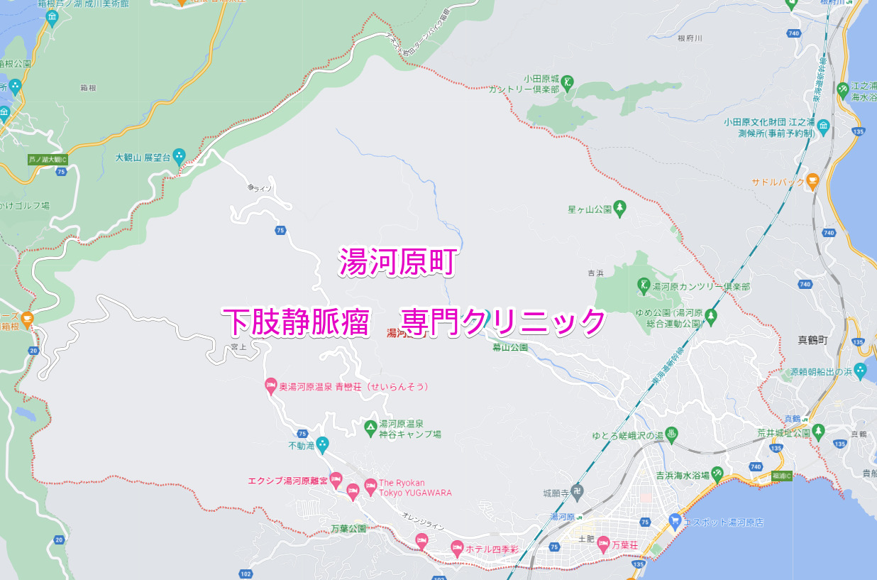 神奈川県湯河原町の下肢静脈瘤専門クリニック