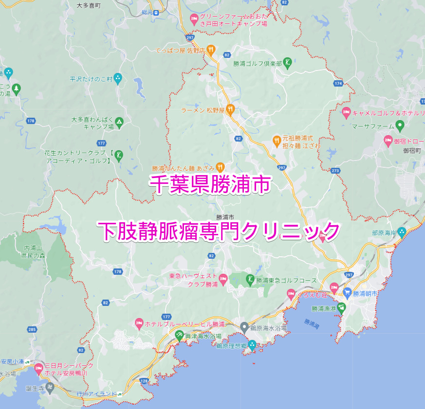 千葉県勝浦市の下肢静脈瘤専門クリニック
