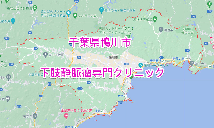 千葉県鴨川市の下肢静脈瘤専門クリニック
