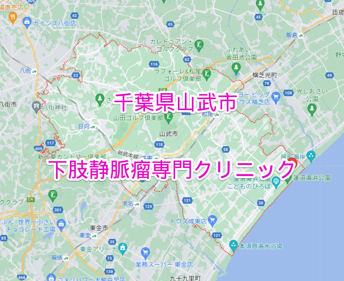 千葉県山武市の下肢静脈瘤専門クリニック