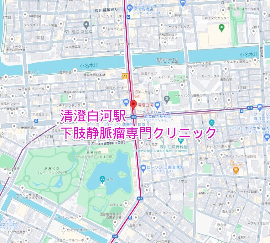 清澄白河駅周辺の下肢静脈瘤専門クリニック