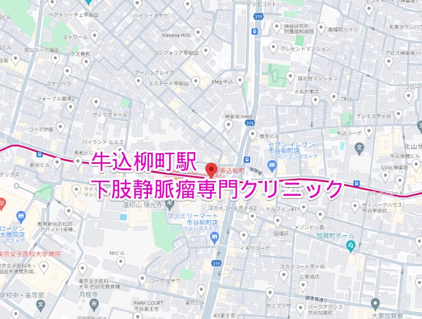 牛込柳町駅周辺の下肢静脈瘤専門クリニック