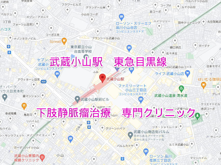 武蔵小山駅 東急目黒線 下肢静脈瘤治療専門クリニック