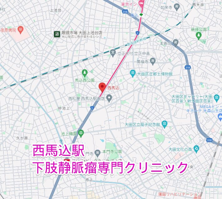 西馬込駅周辺の下肢静脈瘤専門クリニック