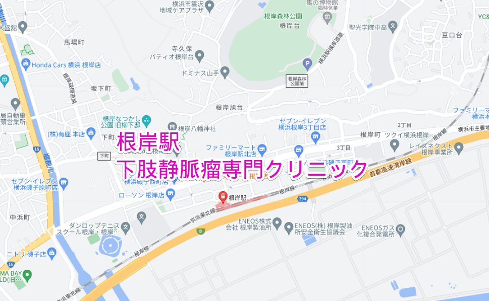 根岸駅周辺の下肢静脈瘤専門クリニック