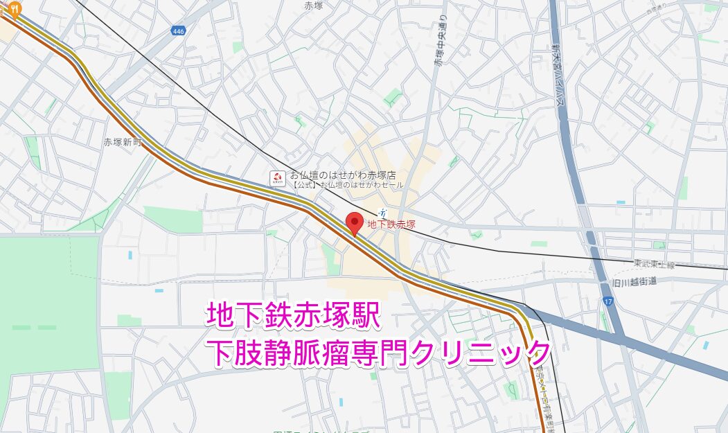 地下鉄赤塚駅周辺の下肢静脈瘤専門クリニック