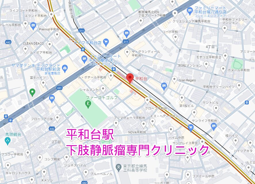平和台駅周辺の下肢静脈瘤専門クリニック