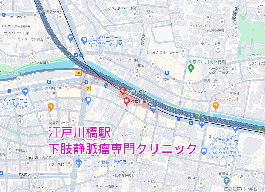 江戸川橋駅周辺の下肢静脈瘤専門クリニック