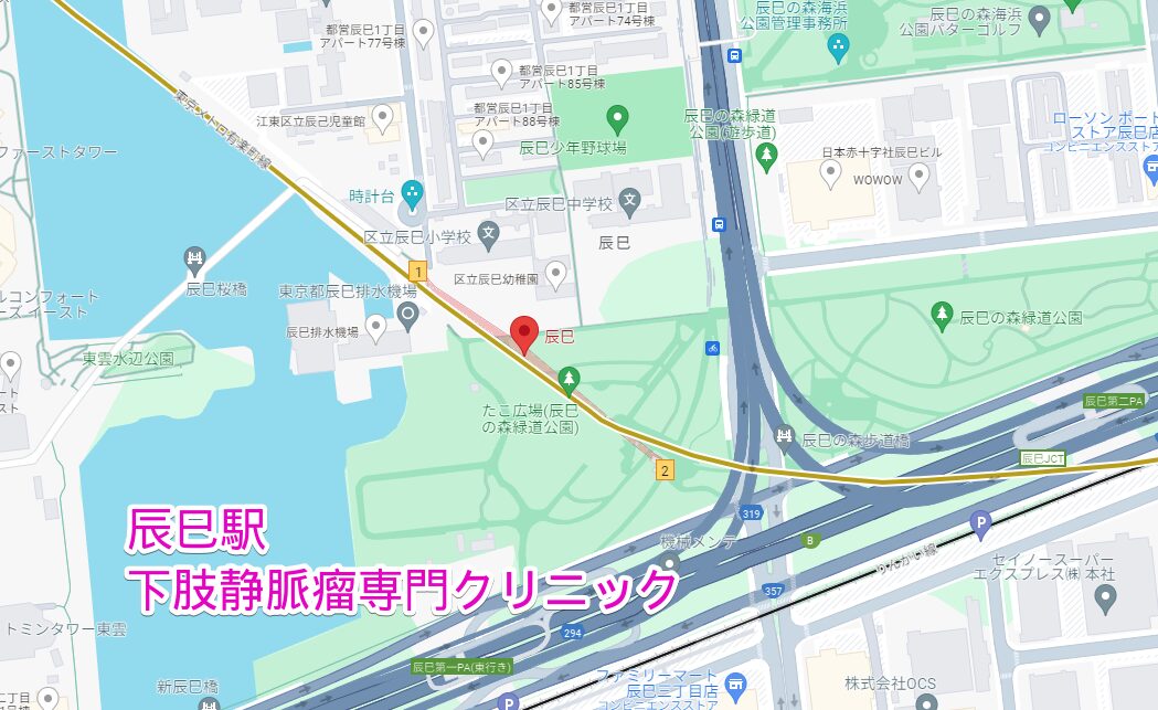 辰巳駅周辺の下肢静脈瘤専門クリニック