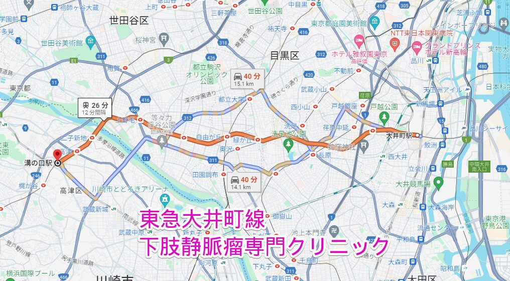 東急大井町線沿線の下肢静脈瘤専門クリニック