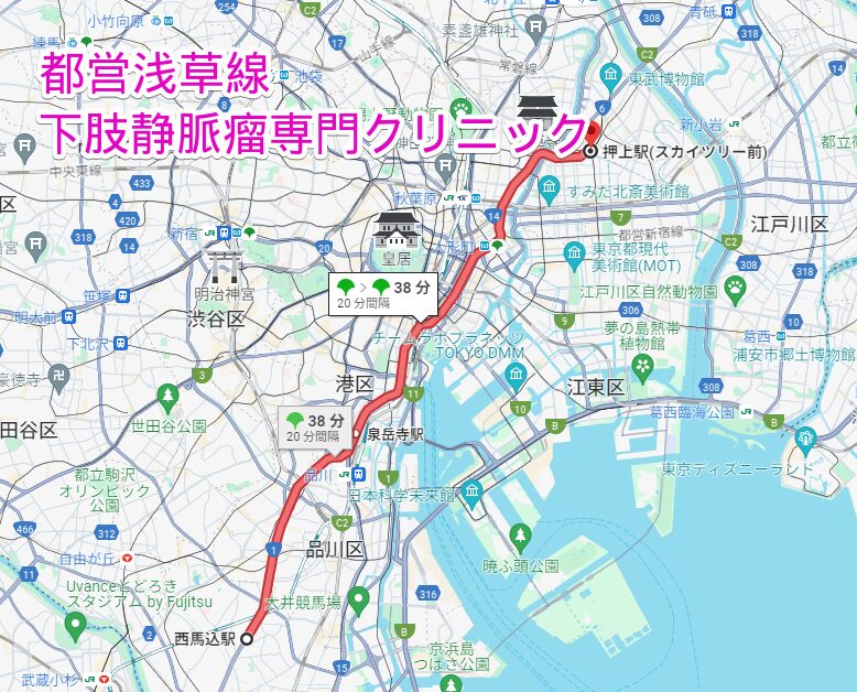 都営浅草線沿線の下肢静脈瘤専門クリニック