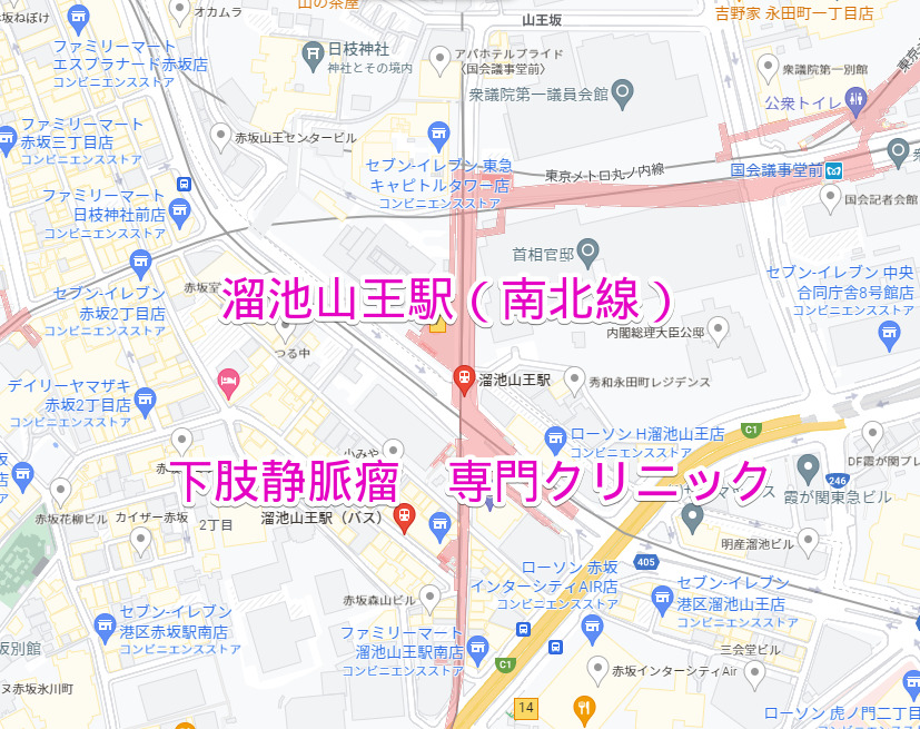 溜池山王駅 南北線 下肢静脈瘤治療専門クリニック