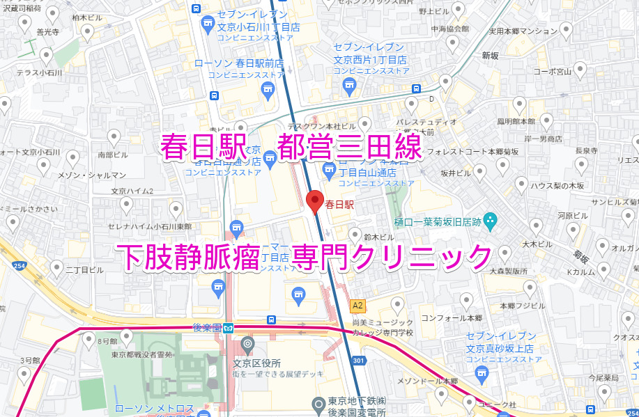 春日駅 都営三田線下肢静脈瘤治療専門クリニック