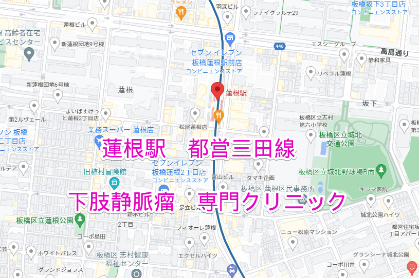 蓮根駅 都営三田線 下肢静脈瘤治療専門クリニック