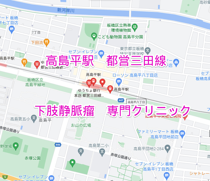 高島平駅 都営三田線 下肢静脈瘤治療専門クリニック
